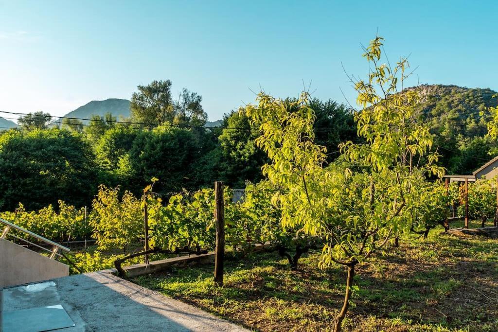 Pavle'S Oasis Villa Virpazar Exterior photo